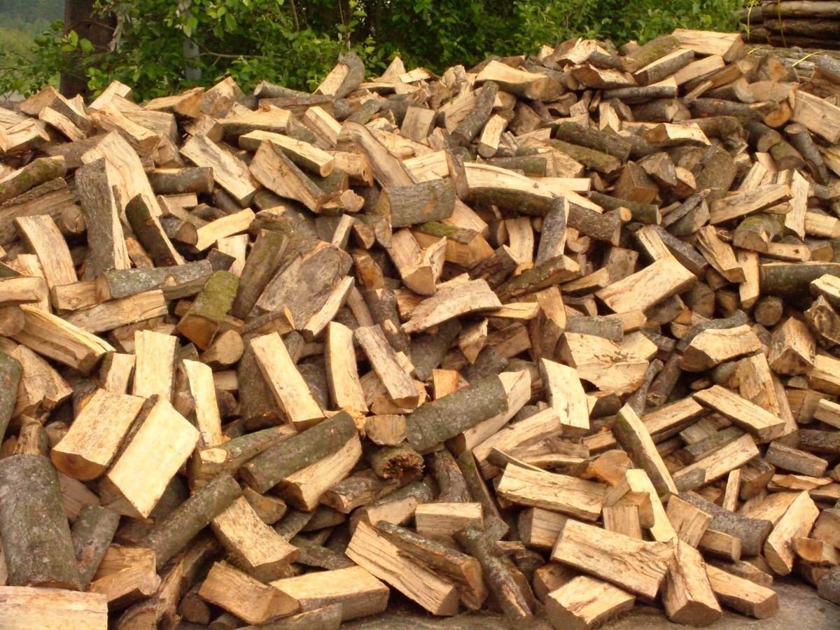 Bois à sécher chêne · hêtre — photo 2