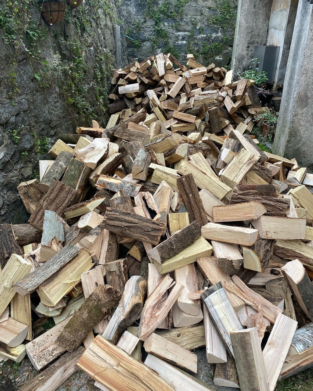 Bûches de charme sec — photo 3